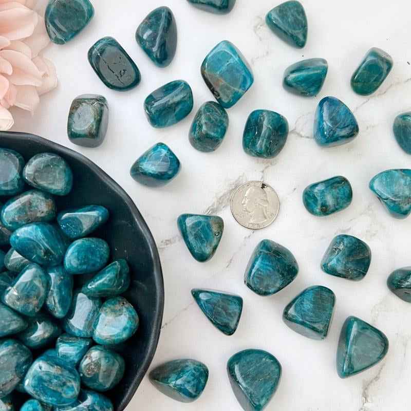 0.78-2.36in Blue Apatite Tumble Stone|CrystalHola Wholesale