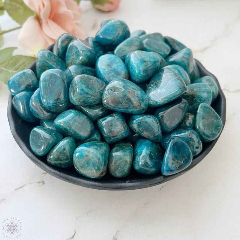 0.78-2.36in Blue Apatite Tumble Stone|CrystalHola Wholesale