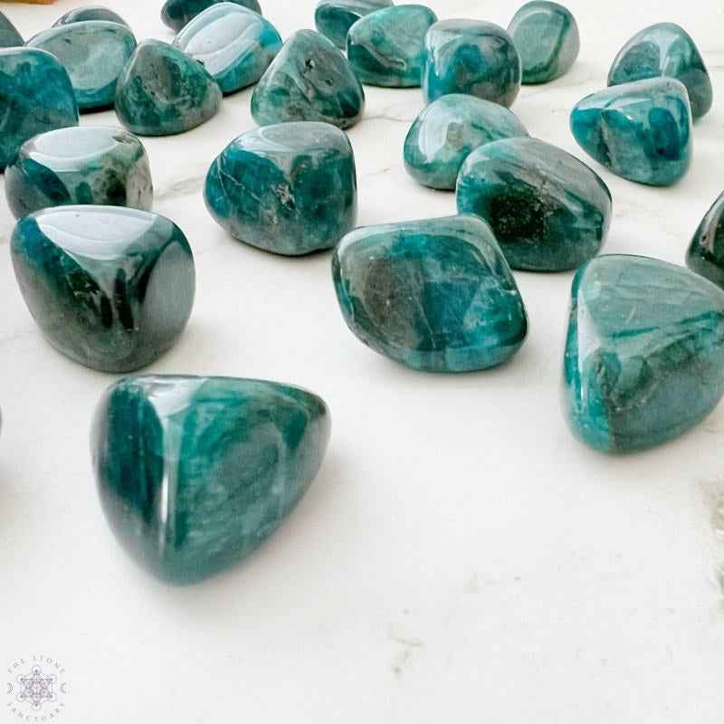 0.78-2.36in Blue Apatite Tumble Stone|CrystalHola Wholesale