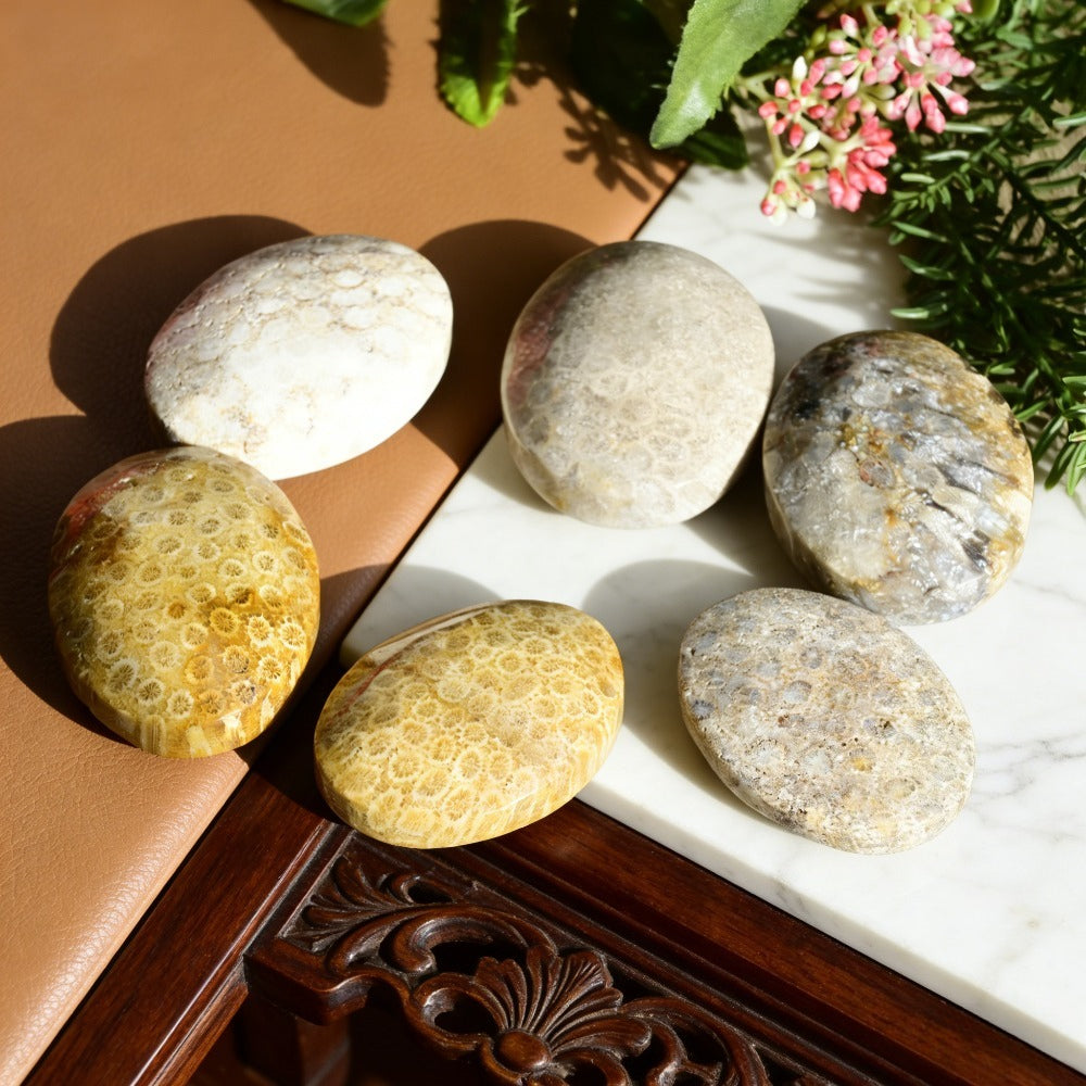 Natural Coral Jade Palm Stone for Jewelry and Home Decor Bulk