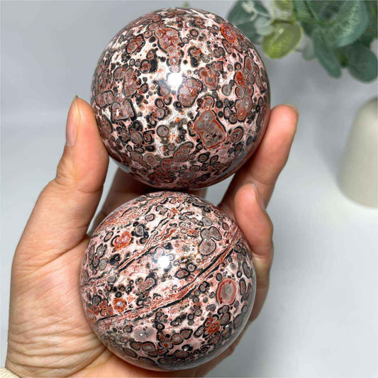 1.57-3.14in Leopard Sphere |CrystalHola