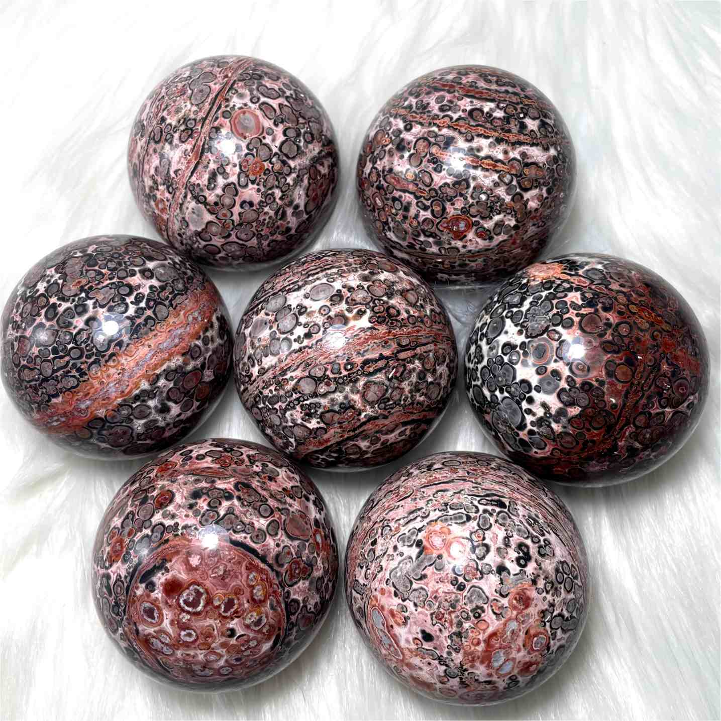 1.57-3.14in Leopard Sphere |CrystalHola