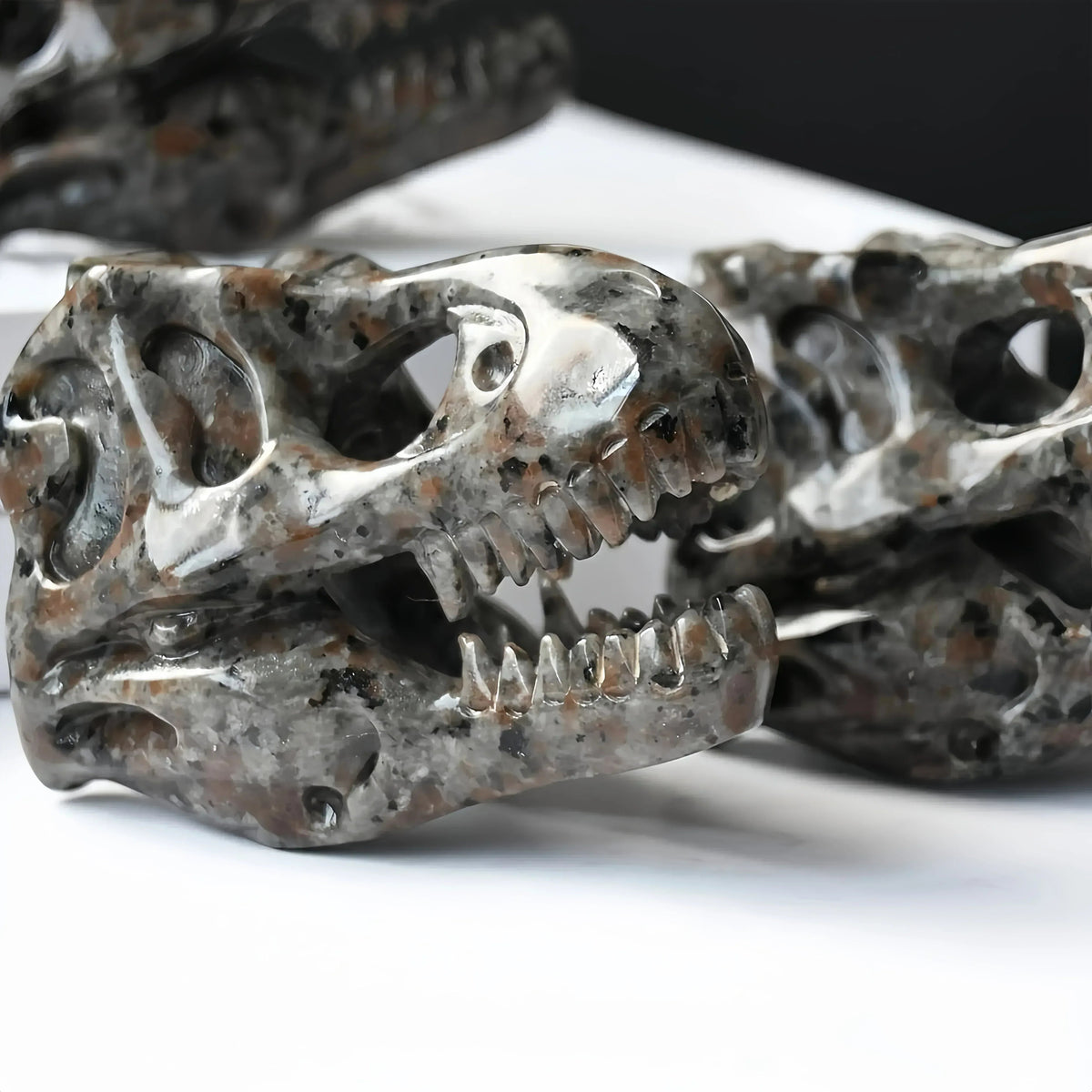 6cm Dinosaur Skull Yooperite|CrystalHola