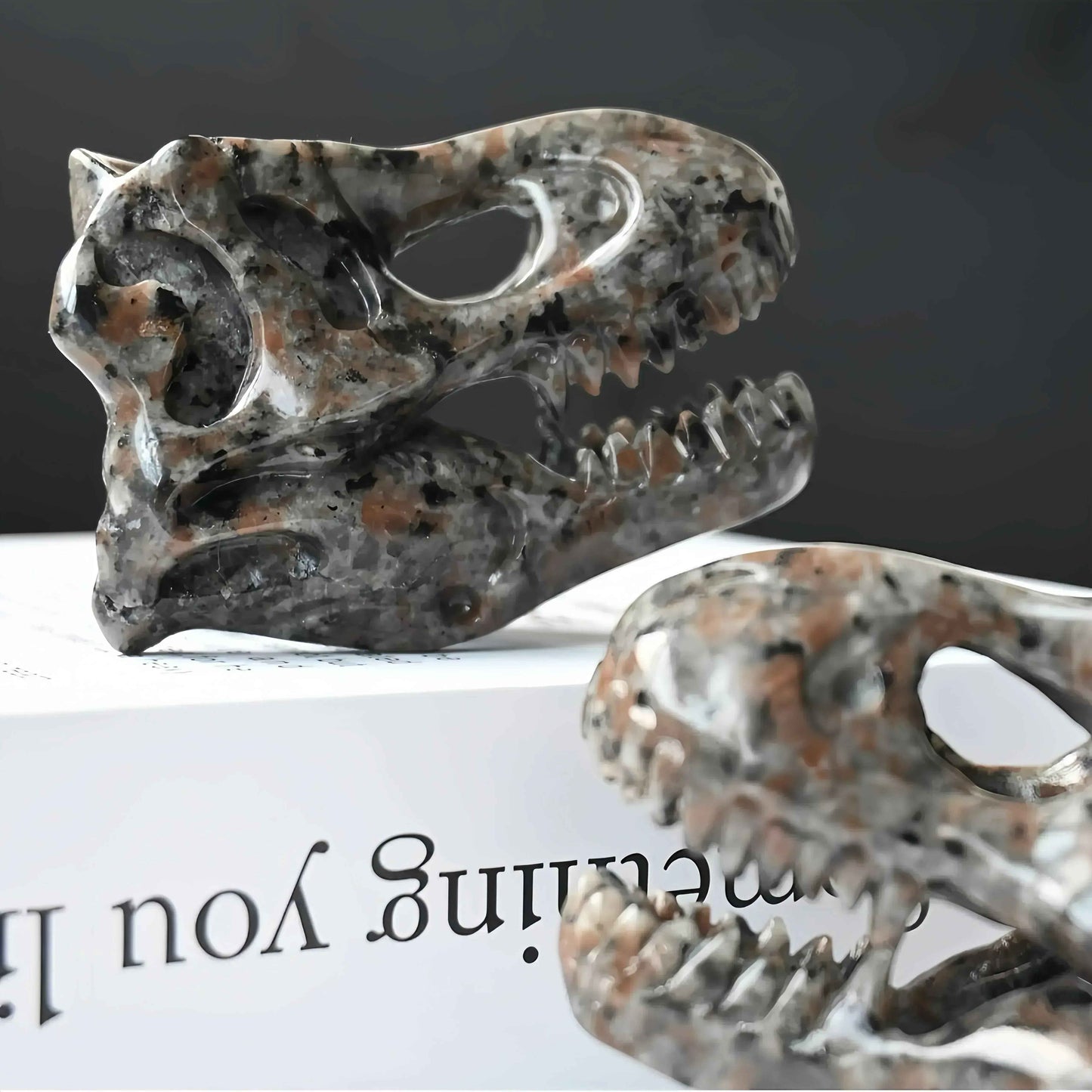 6cm Dinosaur Skull Yooperite|CrystalHola