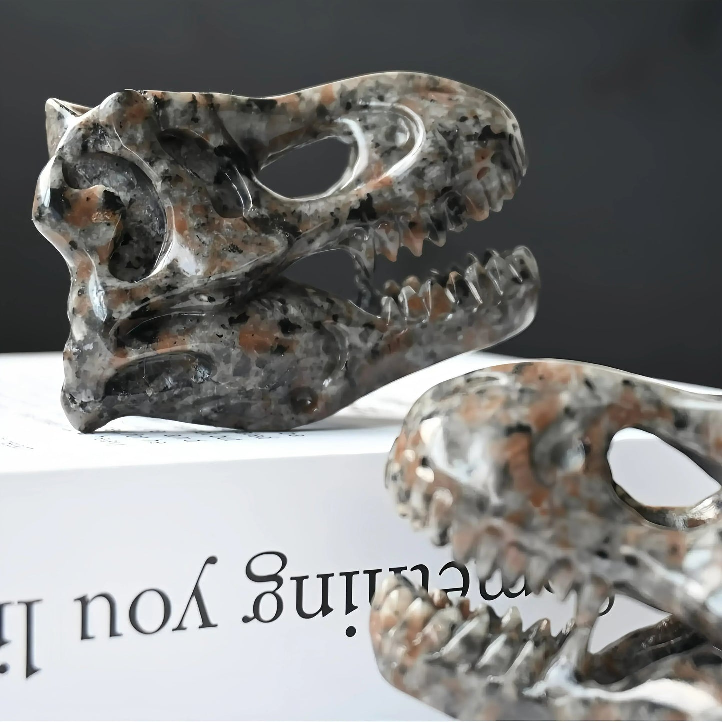 6cm Dinosaur Skull Yooperite|CrystalHola