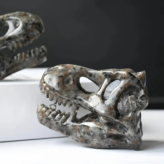 6cm Dinosaur Skull Yooperite|CrystalHola