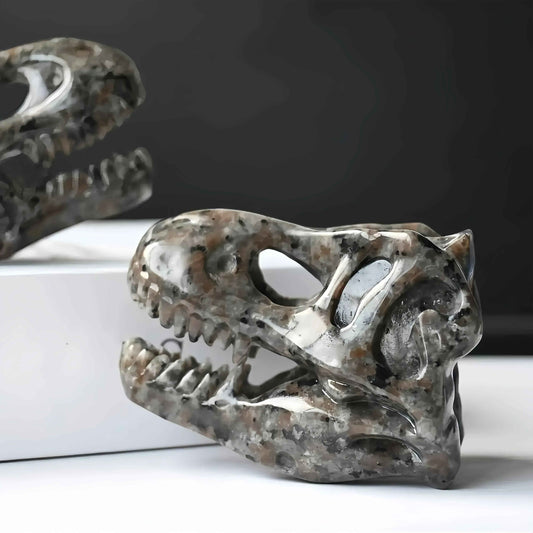 6cm Dinosaur Skull Yooperite|CrystalHola
