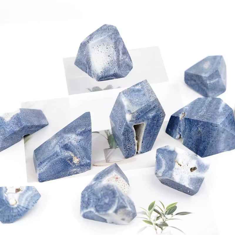 20-100g Blue Coral Freeform|CrystalHola Wholesale