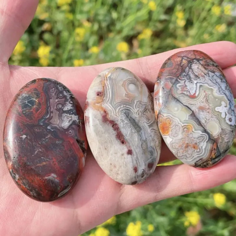 Natural Mexican Red Agate Palm Stone for Gifts