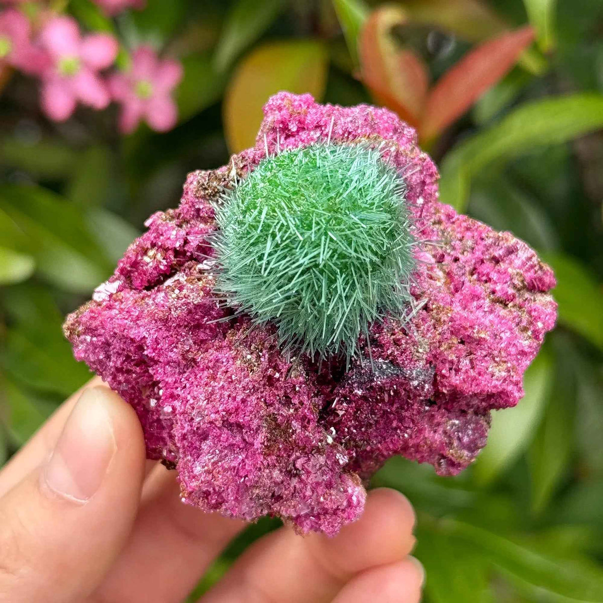 50-100g Rare Artificial Zeolite RubyMineral Specimen | CrystalHola Wholesale