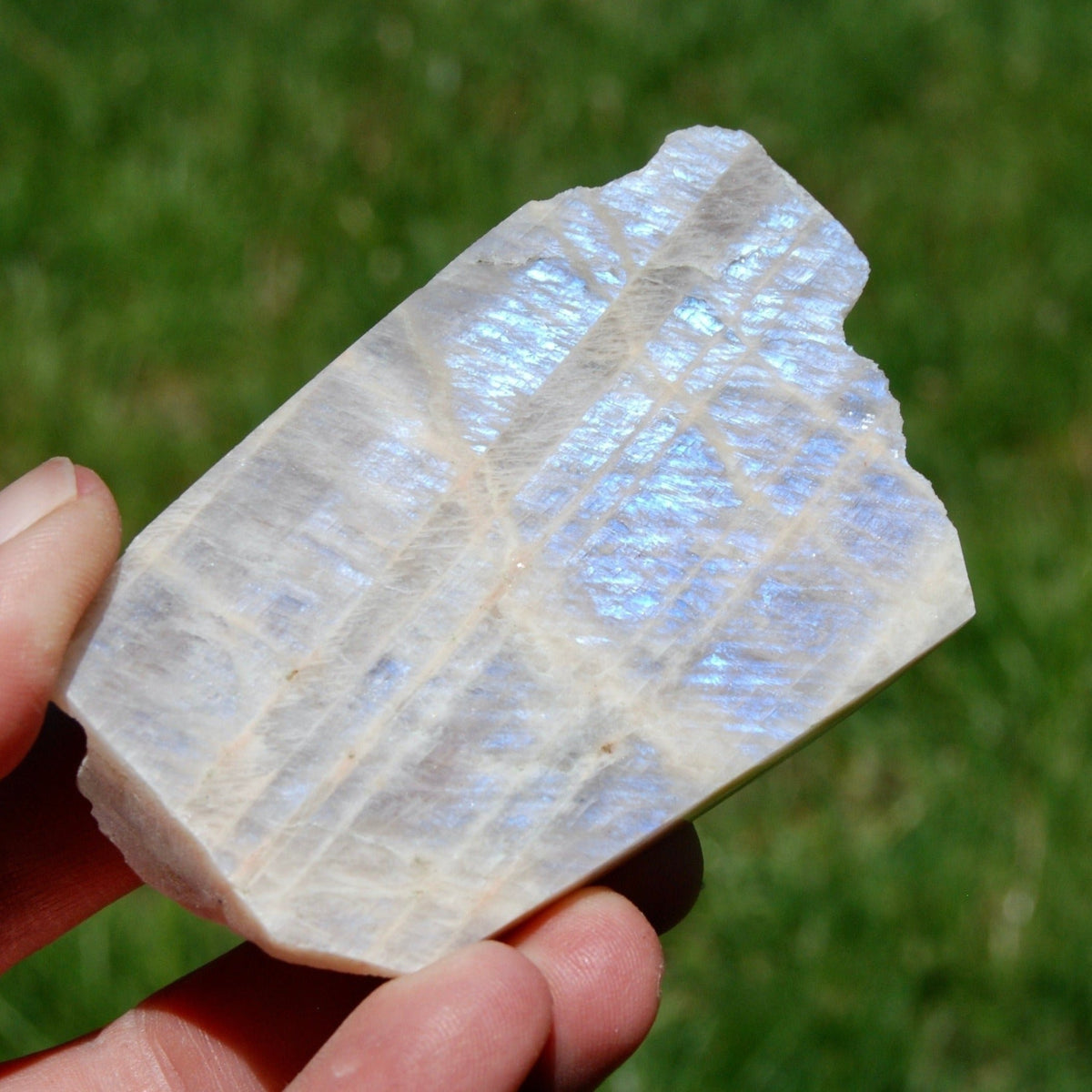 Blue Moonstone Slice for Home Display