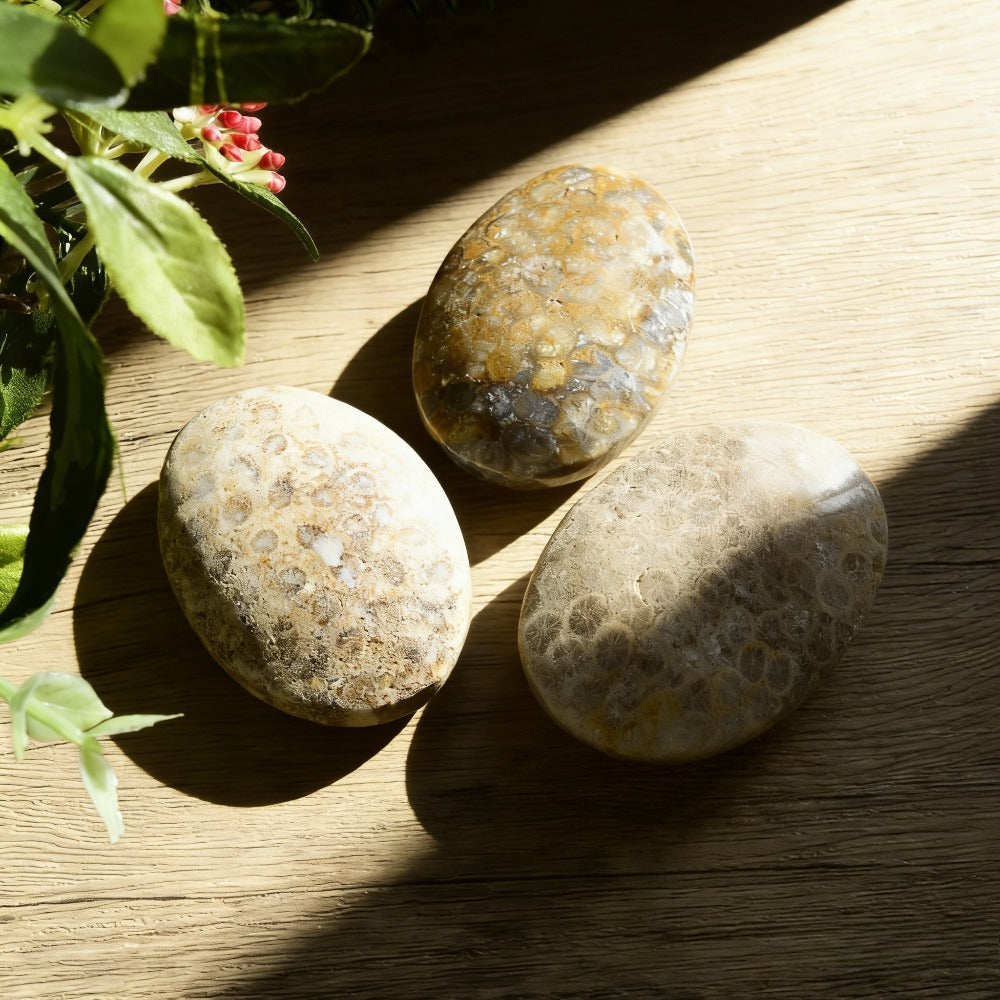 Natural Coral Jade Palm Stone for Jewelry and Home Decor Bulk
