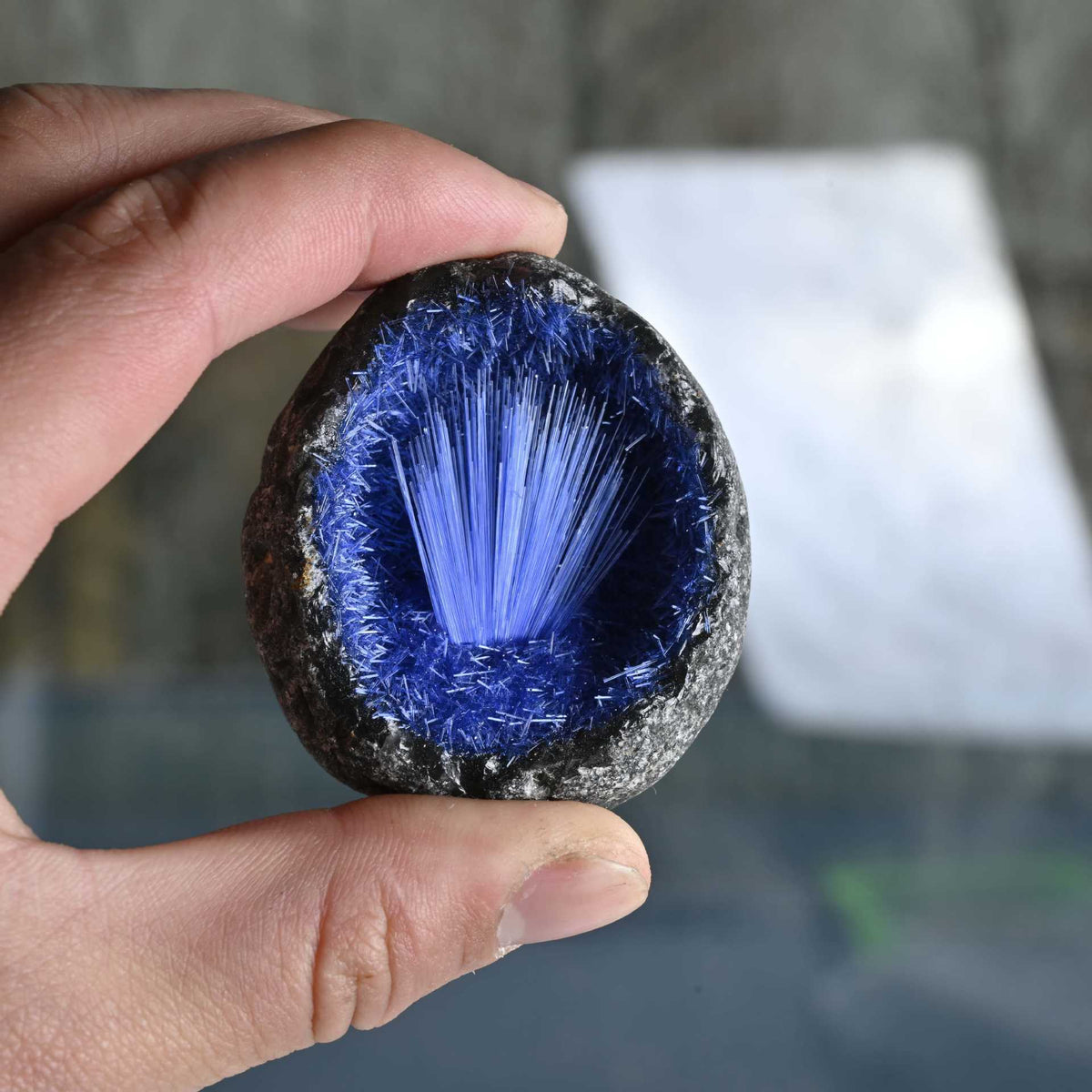 Mineral Egg - CrystalHola