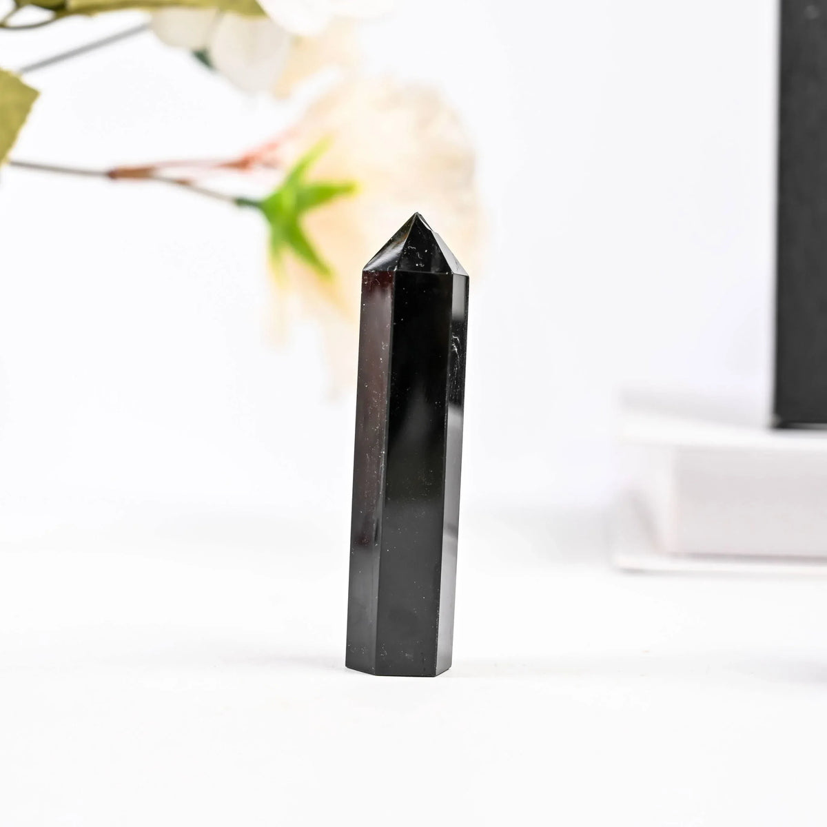 Black_Obsidian_Tower-378_3 - CrystalHola