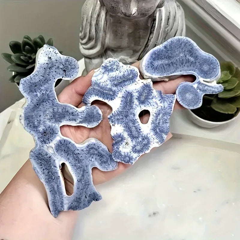 Blue Coral Slice