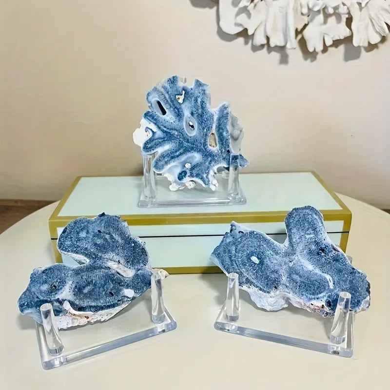 Blue Coral Slice