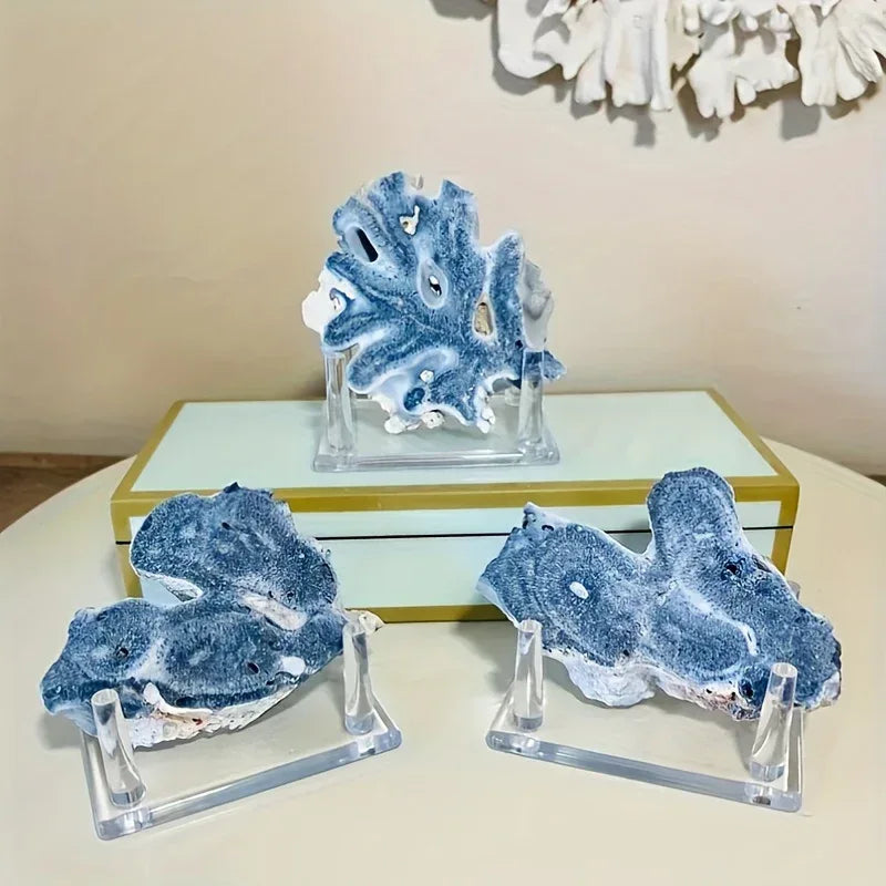 Blue Coral Slice