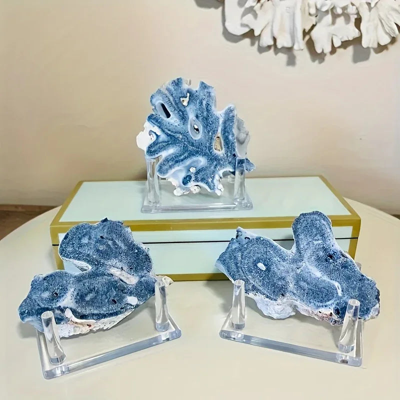 Blue Coral Slice - CrystalHola