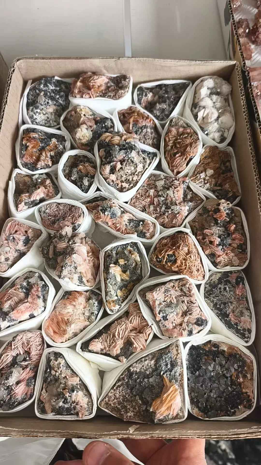 A set of Calcite Associated Specimen |CrystalHola