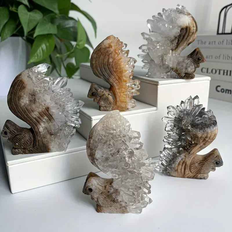 Cluster Squirrel