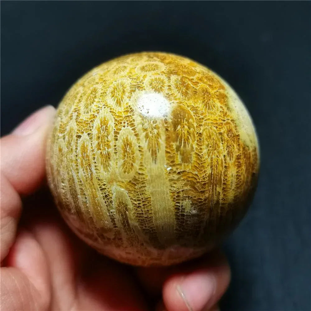 Coral Jasper Sphere - CrystalHola