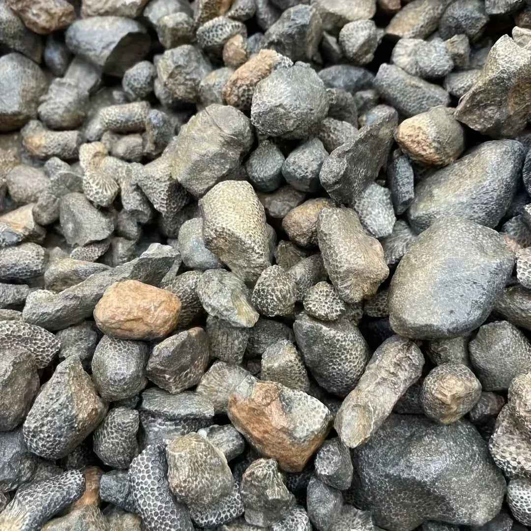Coral Raw Stone