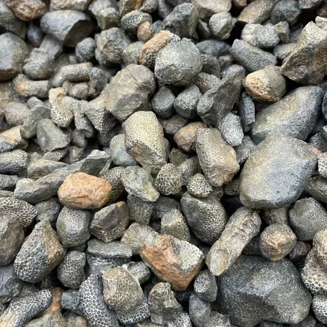 Coral Raw Stone