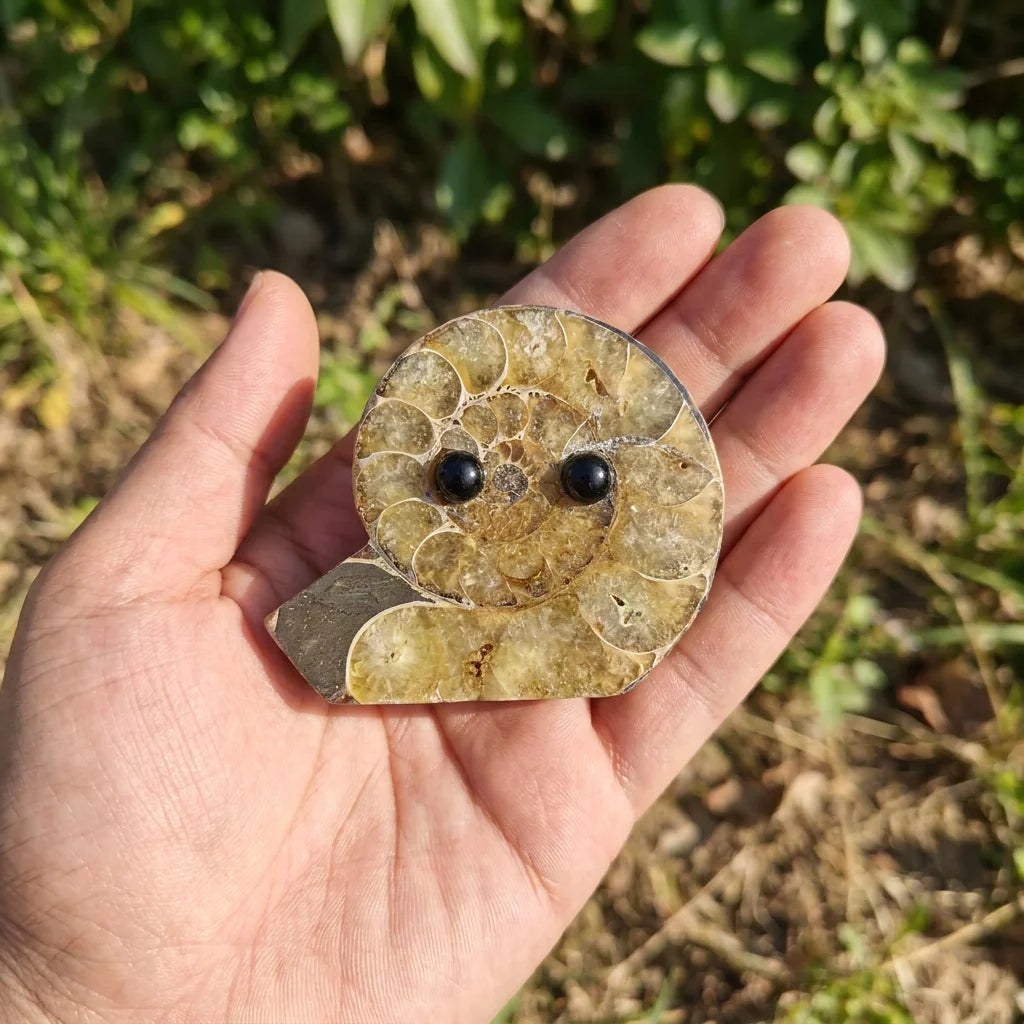 Agate Fossil Table Pet Carving for Desk Decor and Gifting
