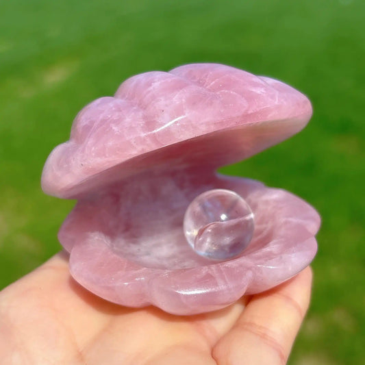 Pink Crystal River Clam for Home Decor and Tabletop Display