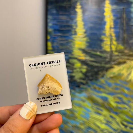 Mineral specimen refrigerator magnet