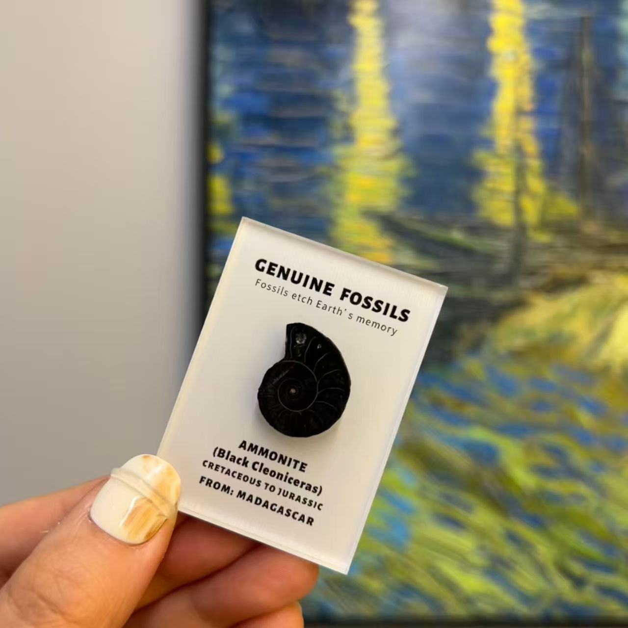 Mineral specimen refrigerator magnet