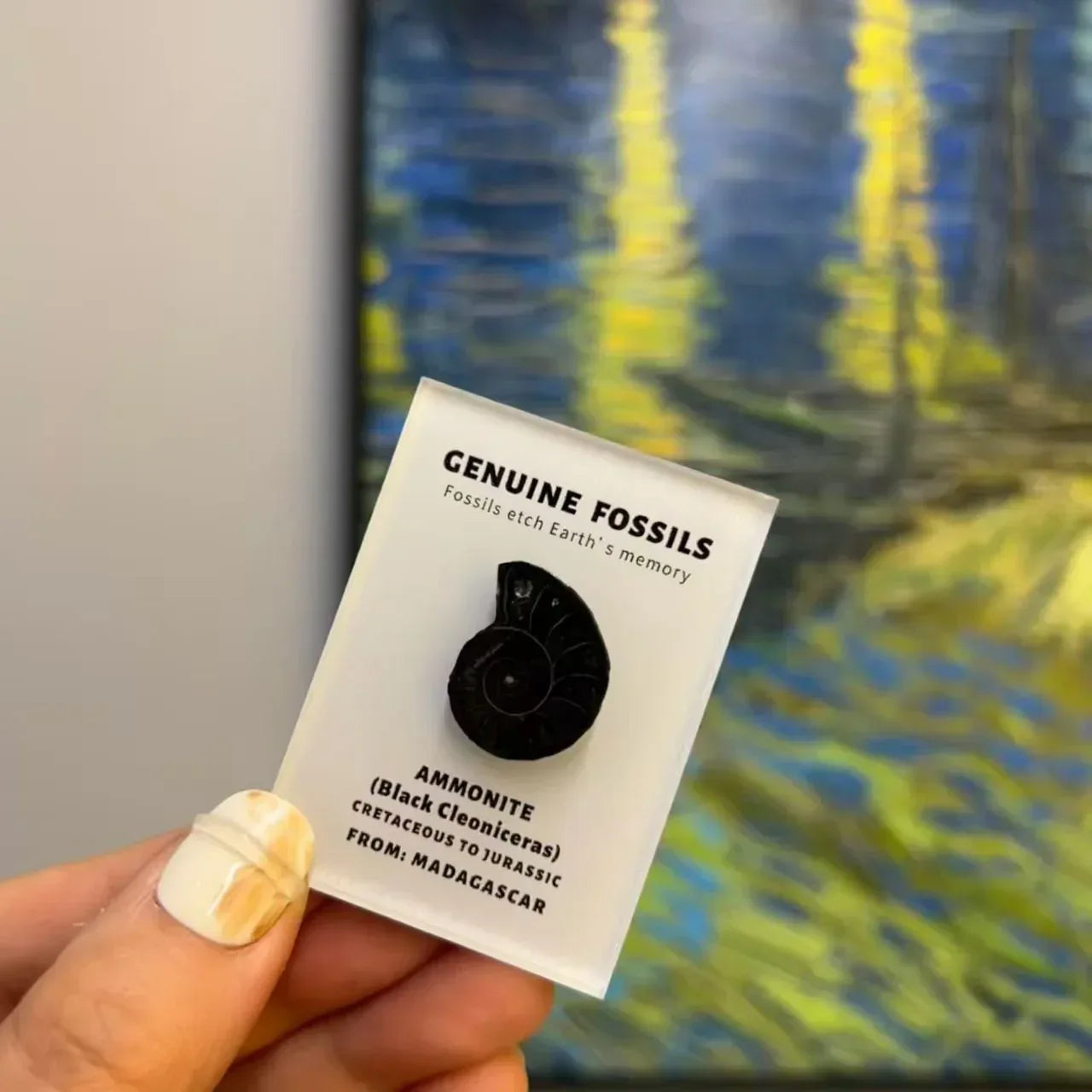 Mineral specimen refrigerator magnet