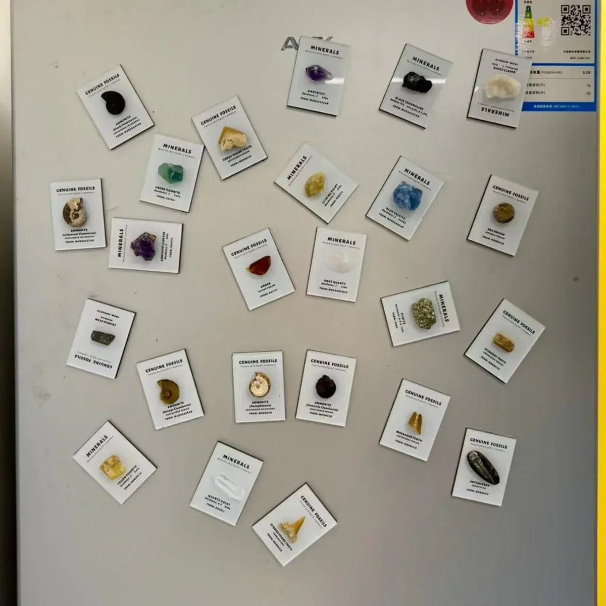 Mineral specimen refrigerator magnet