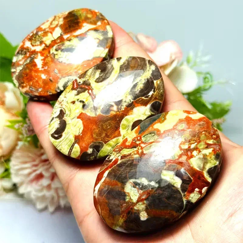 Money Agate Palm
