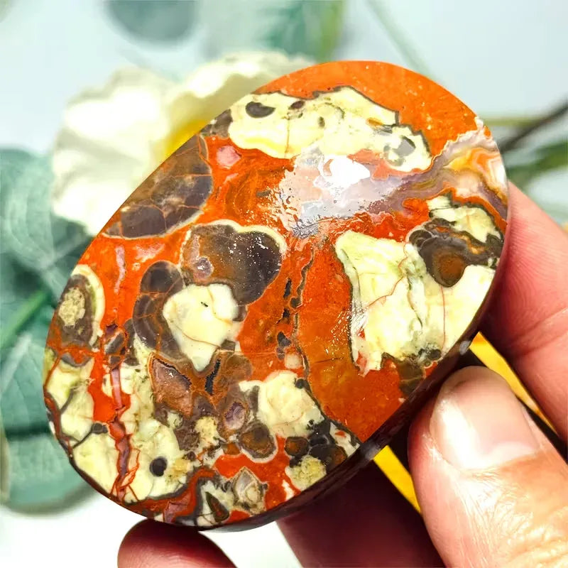 Money Agate Palm - CrystalHola