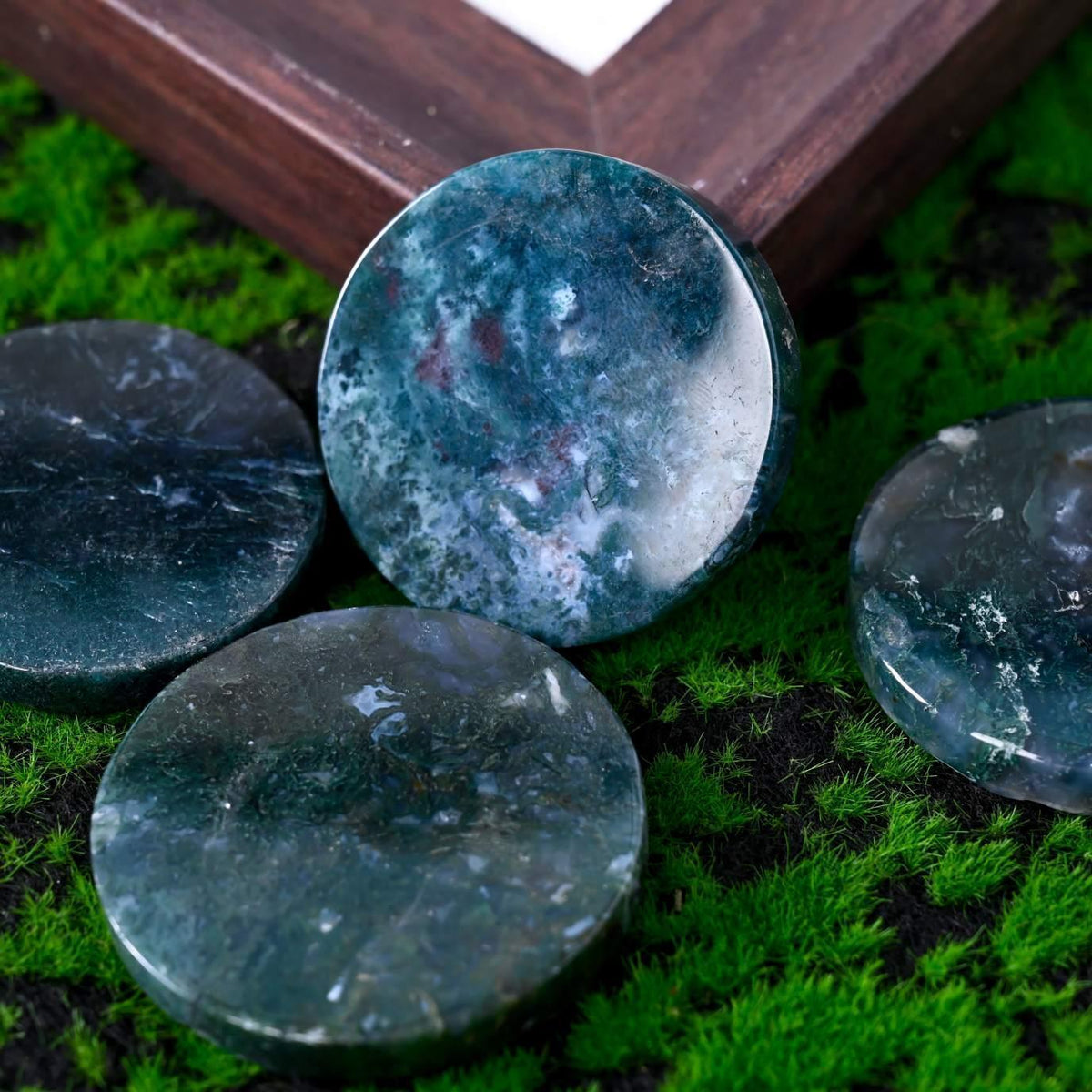 Moss Agate Round Disc|CrystalHola