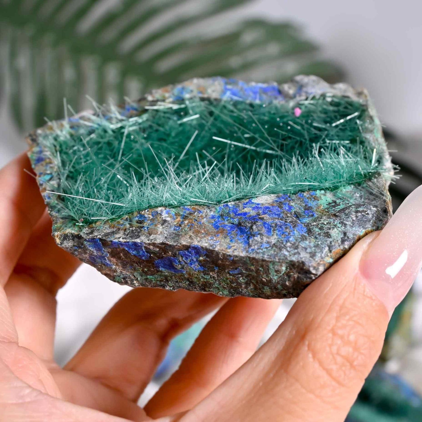 Needle With Azurite Mineral - CrystalHola