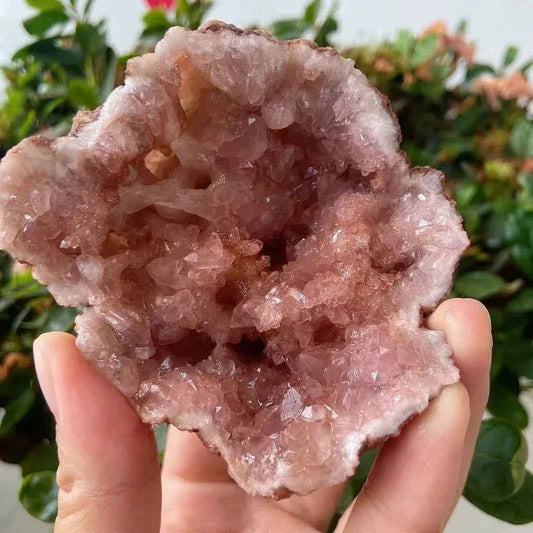 Wholesale Pink Argentinian Geode Cluster |CrystalHola