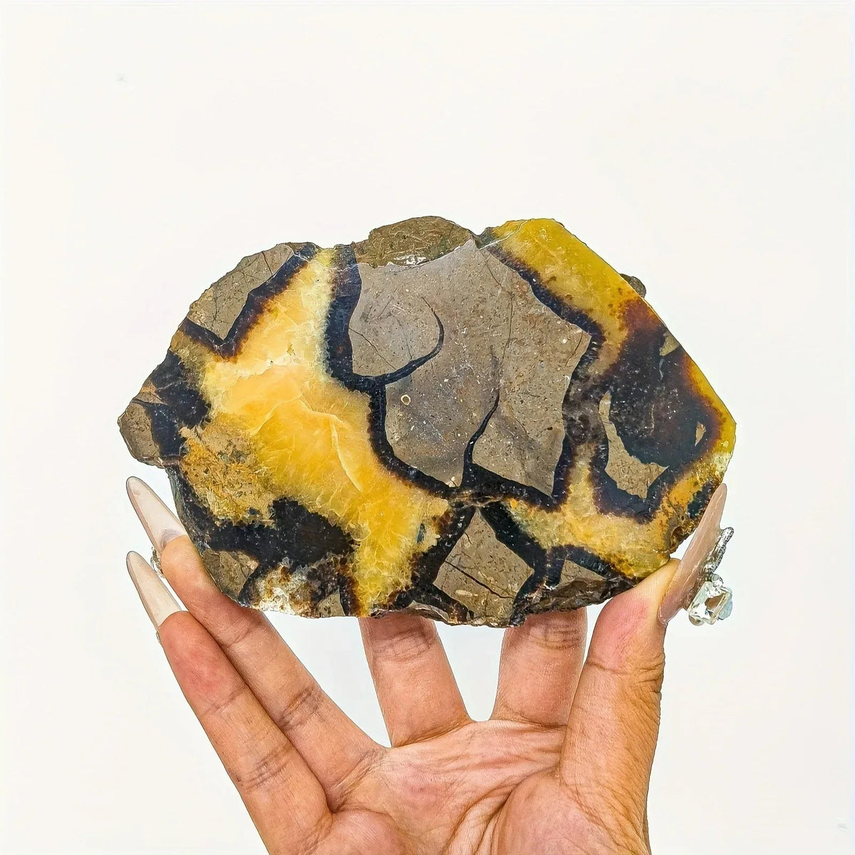 30-200g Septarium Slab|CrystalHola