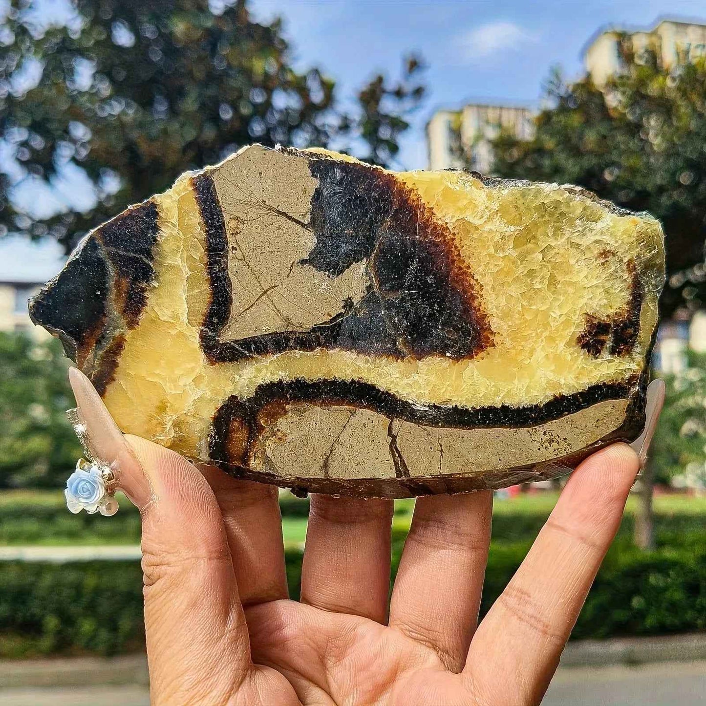 30-200g Septarium Slab|CrystalHola