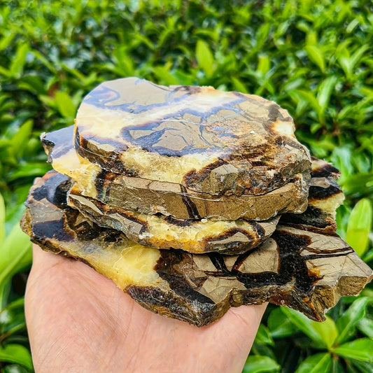 30-200g Septarium Slab|CrystalHola