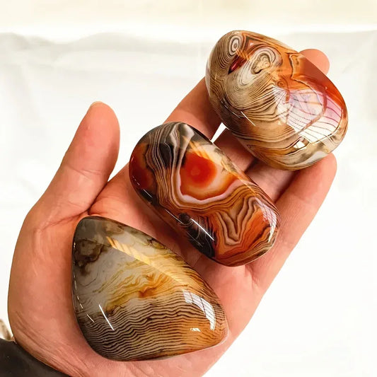 Twisted Agate Palm - CrystalHola