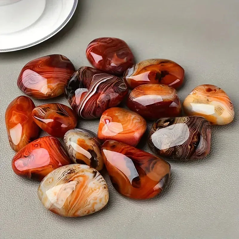 Twisted Agate Palm