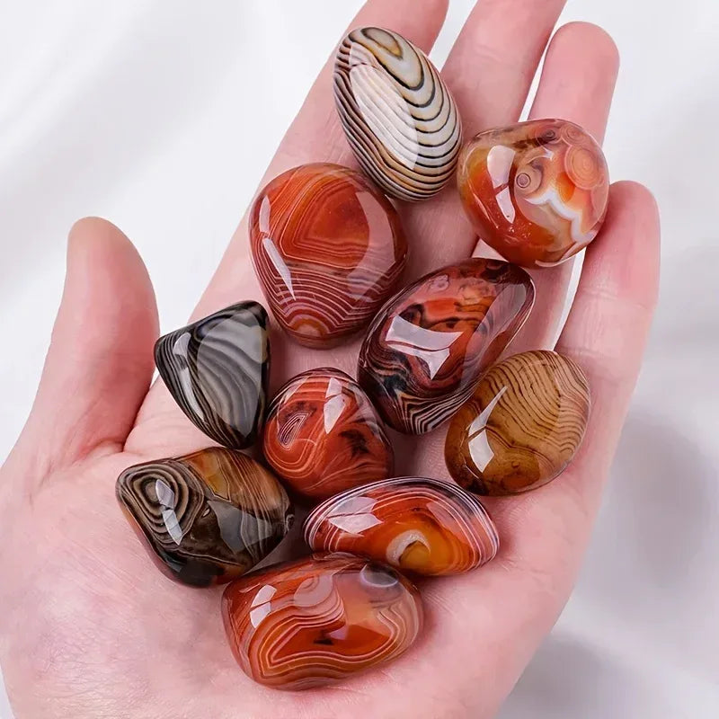 Twisted Agate Palm