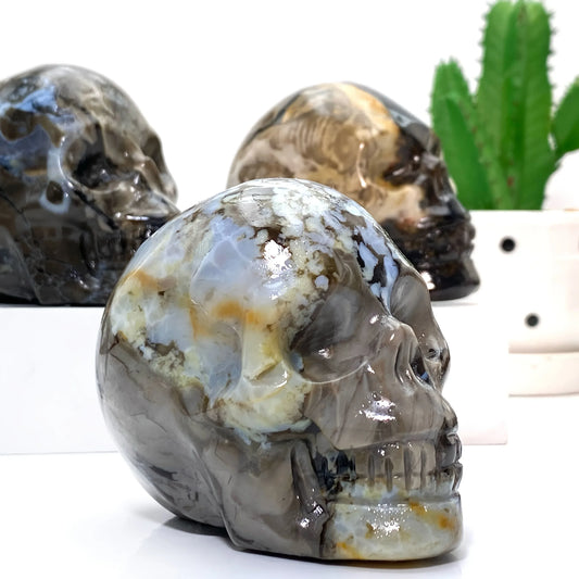 Volcanic Agate Skull - CrystalHola
