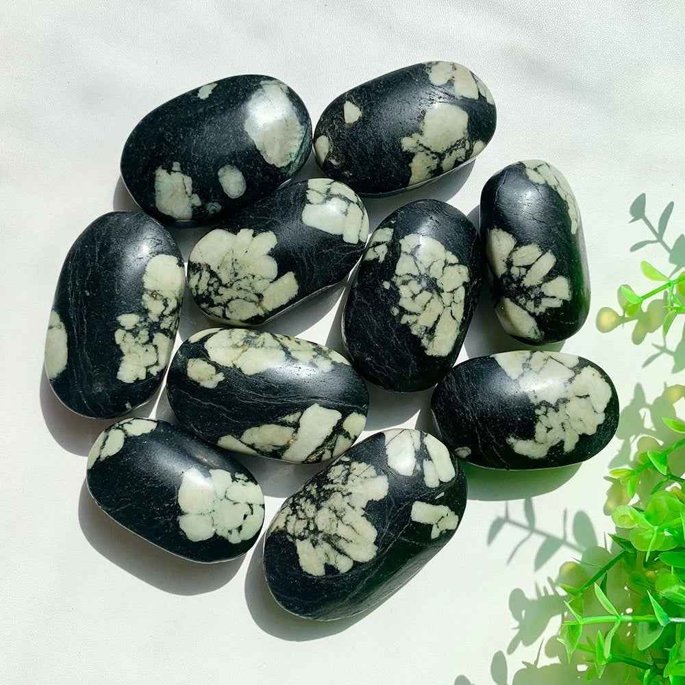 Wholesale Bulk Chrysanthemum Palm Stone |CrystalHola