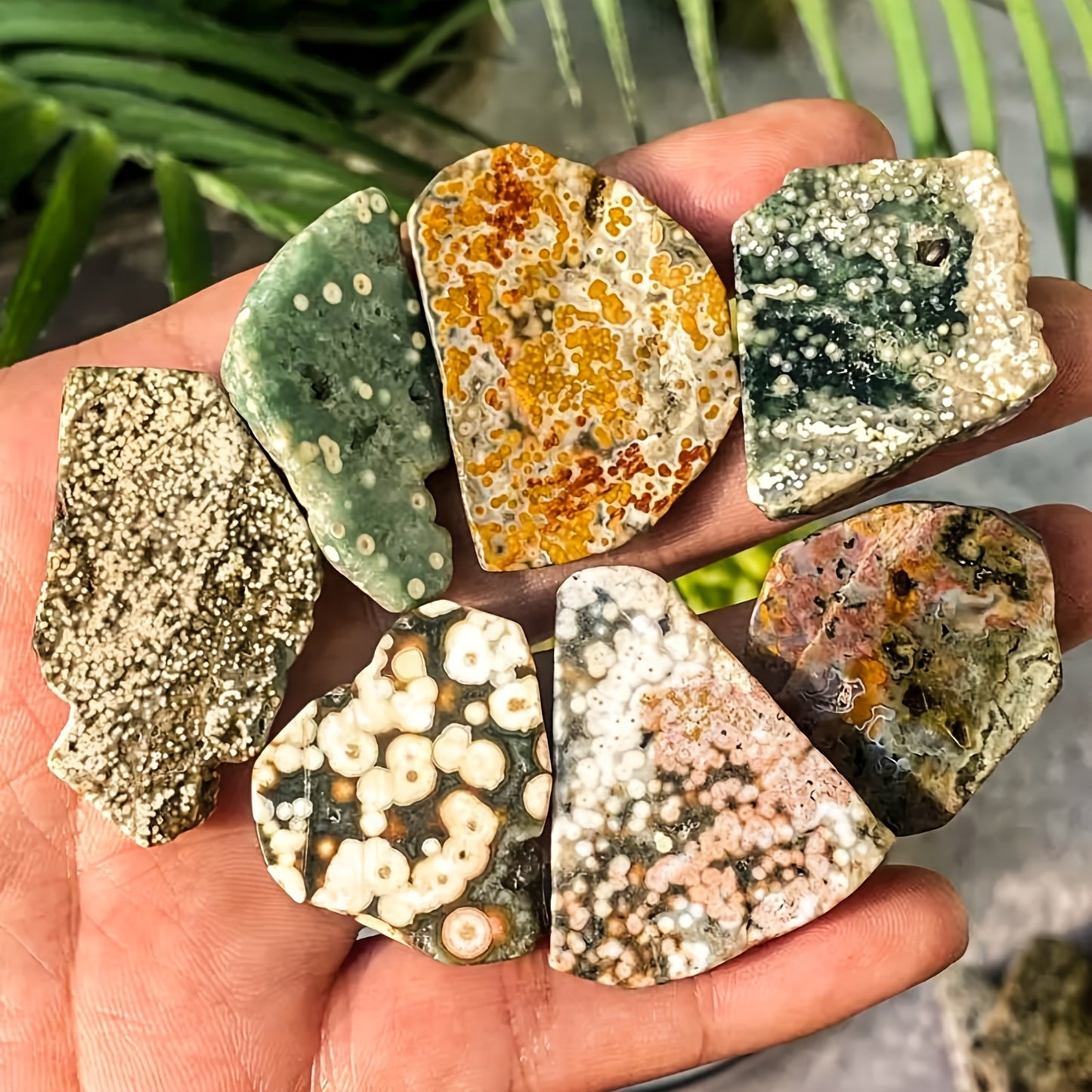 Wholesale Bulk Ocean Jasper Freeform|CrystalHola