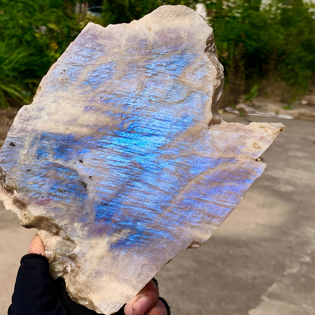 Blue Moonstone Slice for Home Display