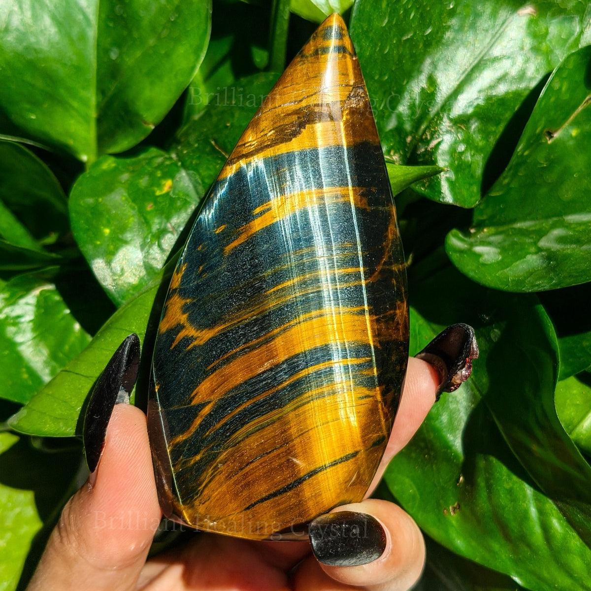 Blue And Yellow Tiger Eye Teardrop for Decor