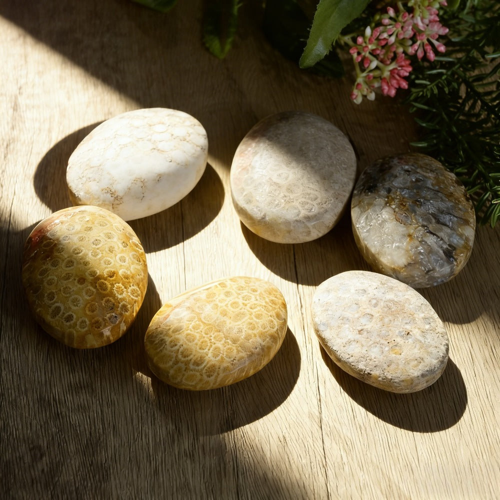 Natural Coral Jade Palm Stone for Jewelry and Home Decor Bulk